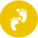 荣誉资质